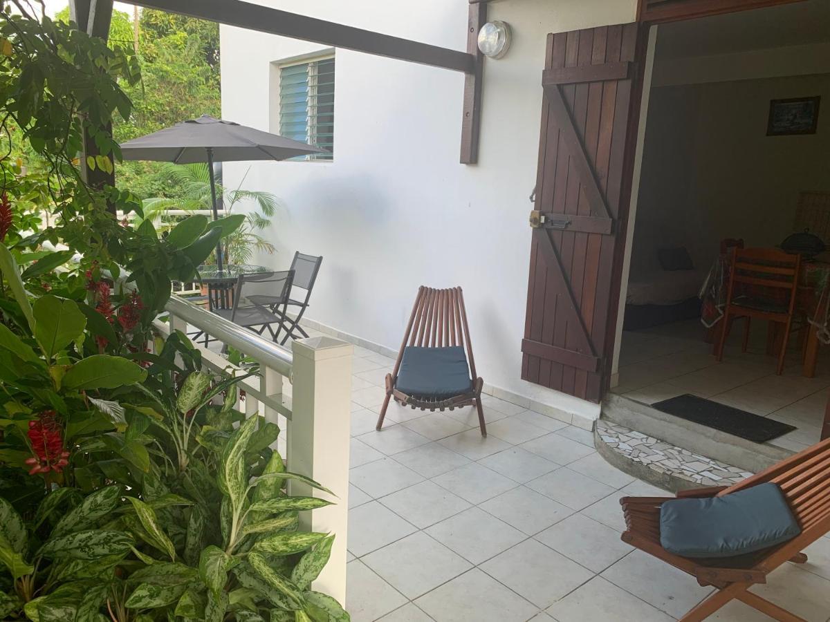 Logement Vacances Gissac Sainte-Anne المظهر الخارجي الصورة