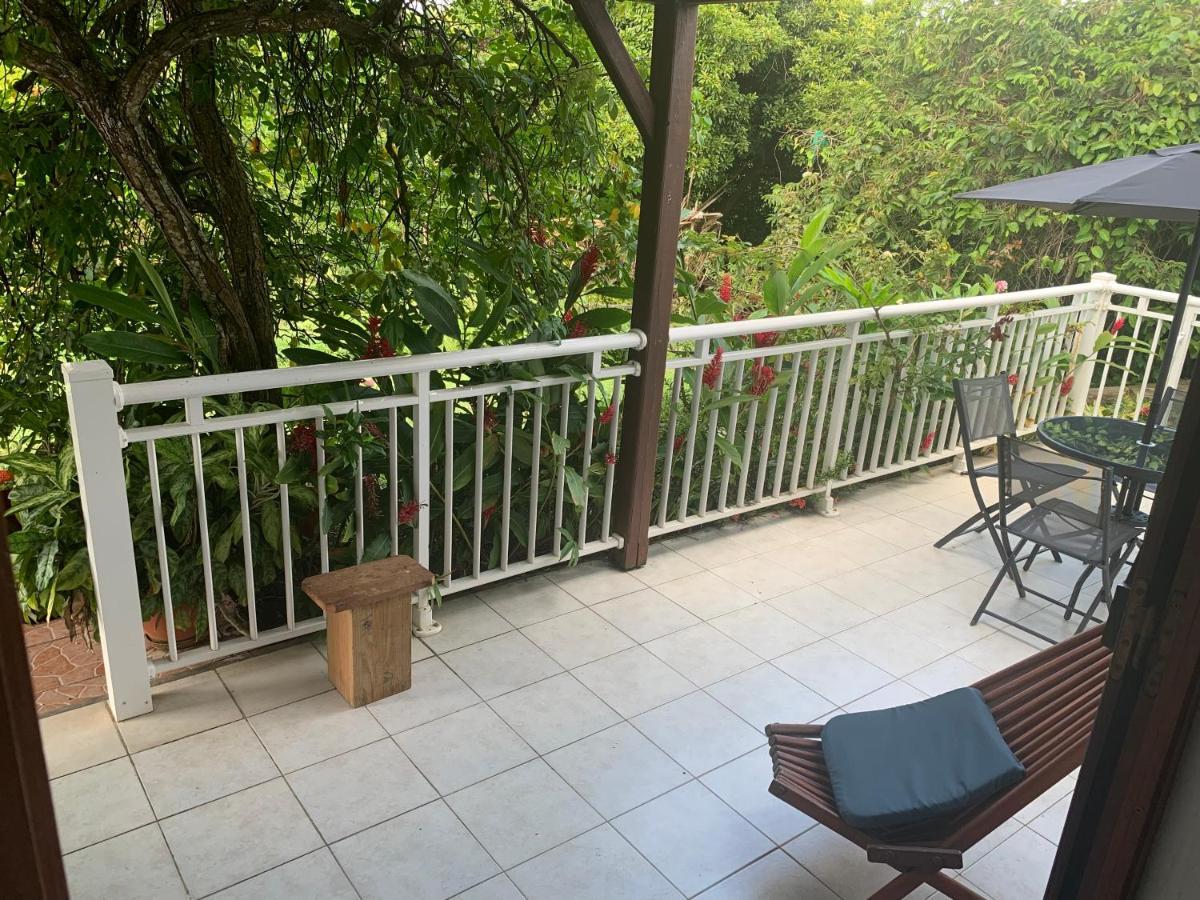 Logement Vacances Gissac Sainte-Anne المظهر الخارجي الصورة